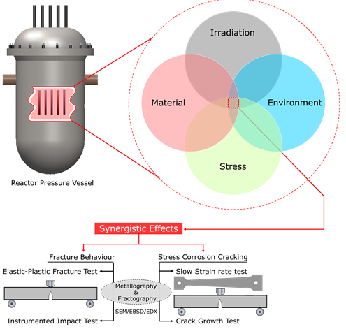 RPV synergistic effects